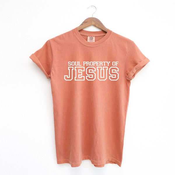 Soul Property Of Jesus Garment Dyed Tee