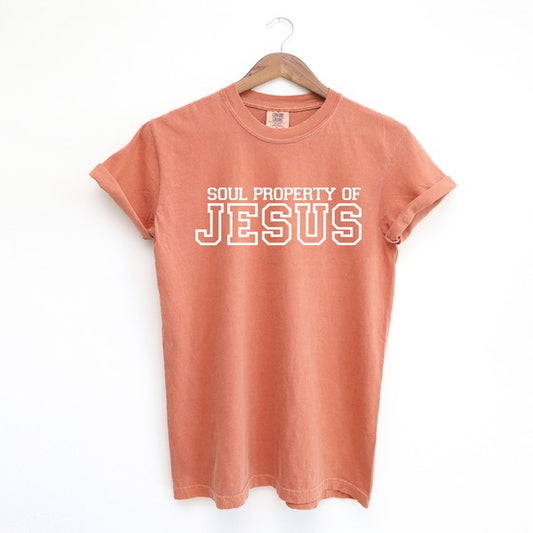 Soul Property Of Jesus Garment Dyed Tee